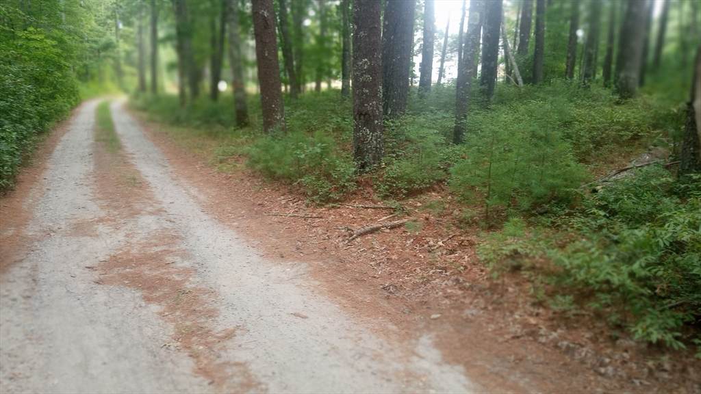 0 Cross Neck - Photo 1