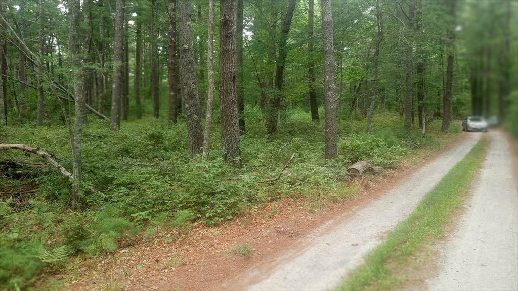 0 Cross Neck - Photo 1