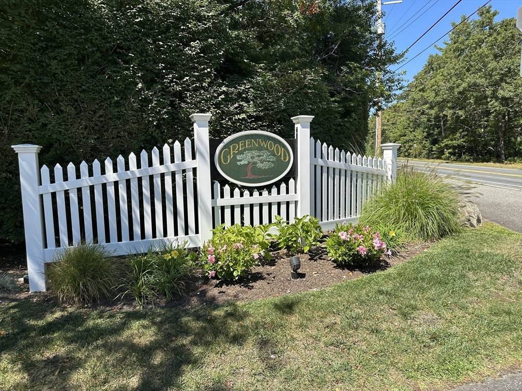 10 Shadbush - Photo 1