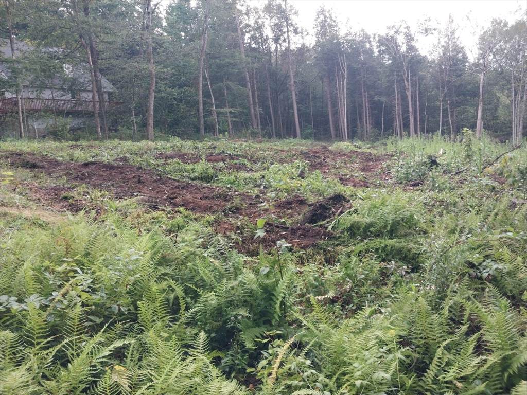 TS12 &TTR8 Slope Rd & Traaack - Photo 1