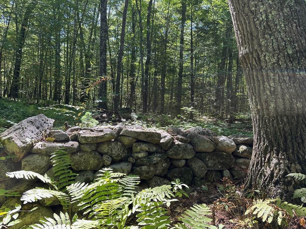 0 Nichewaug Rd - Photo 1