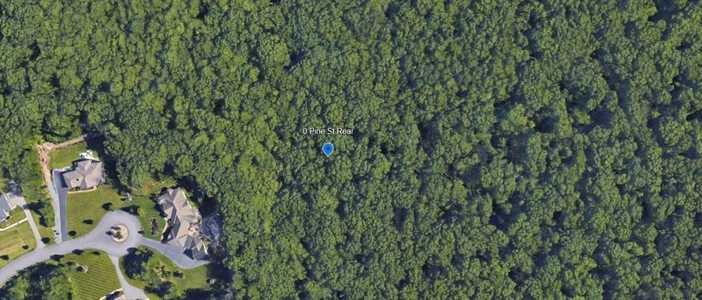 0 Pine St Rear - Photo 1