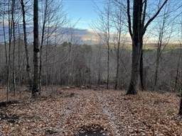 Lot 2 Brimfield Road - Photo 1