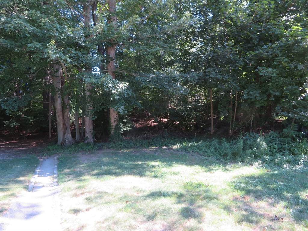 55 Sturdy St - Photo 1