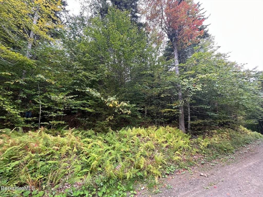 0 Manley Phelps Road - Photo 1