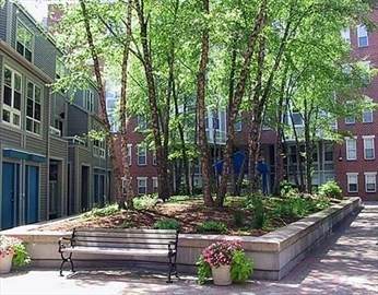 2 Chestnut - Photo 1