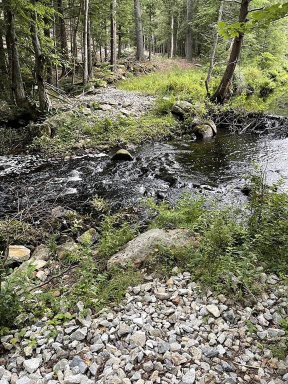 24 Brook Road - Photo 1