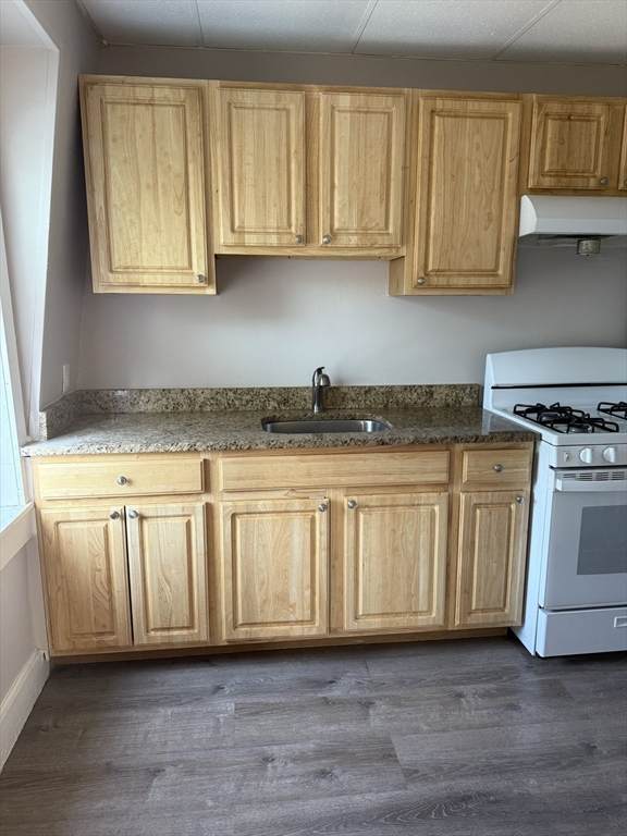 52 Blue Hill Ave - Photo 1