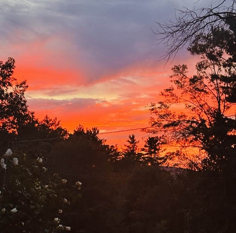 Lot 57 Whiteloaf Rd - Photo 1