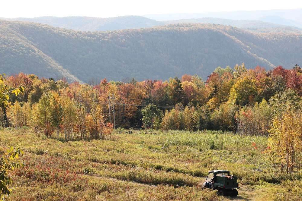 8 Thayer Road - Photo 1