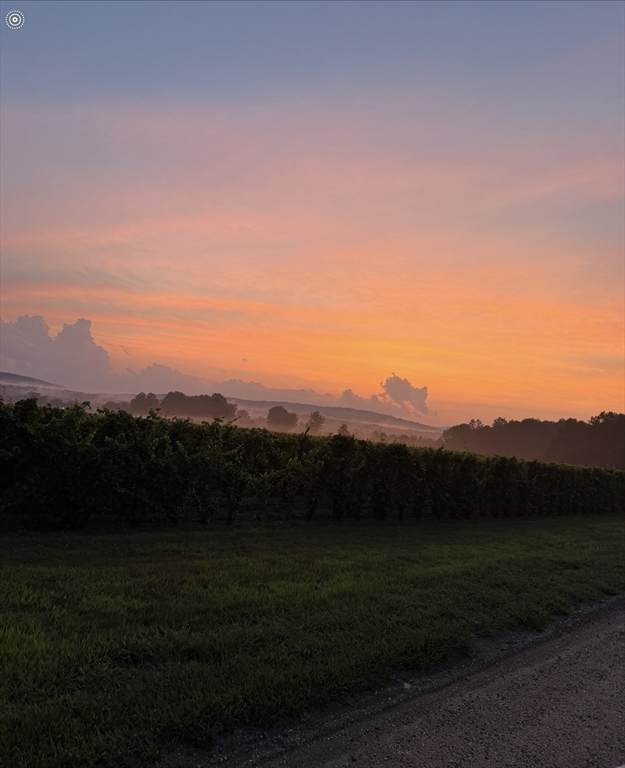 0 Straits Road - Photo 1