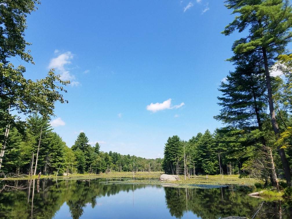 266 Holland Rd - Photo 1