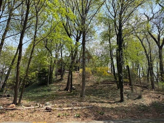 29 Rockland St - Photo 1