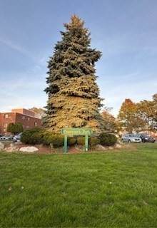 800 Governors Drive - Photo 1