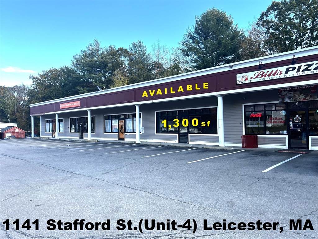 1141 Stafford Street - Photo 1