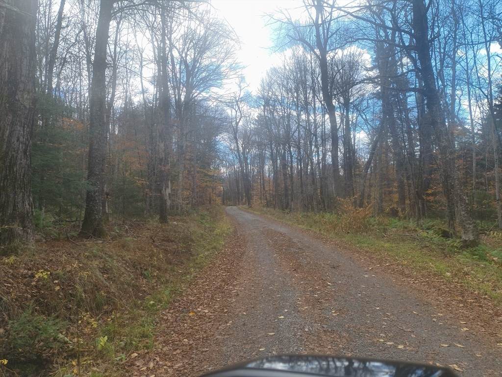 lot 18 Pierce Road - Photo 1