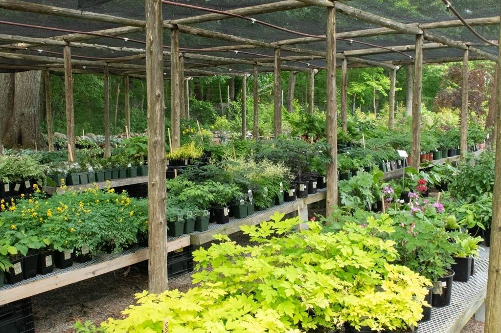 373 N Franklin St - Photo 1