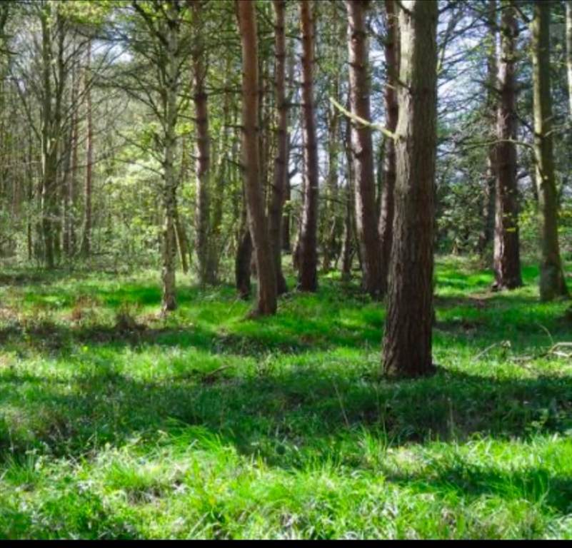 LOT 2 Winterberry Ln - Photo 1