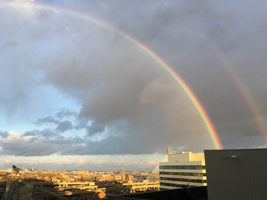 10 Museum Way - Photo 1