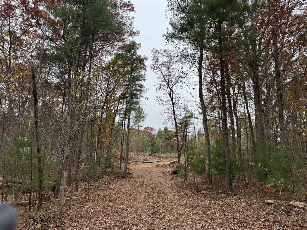 0 Steere Farm Rd - Photo 1