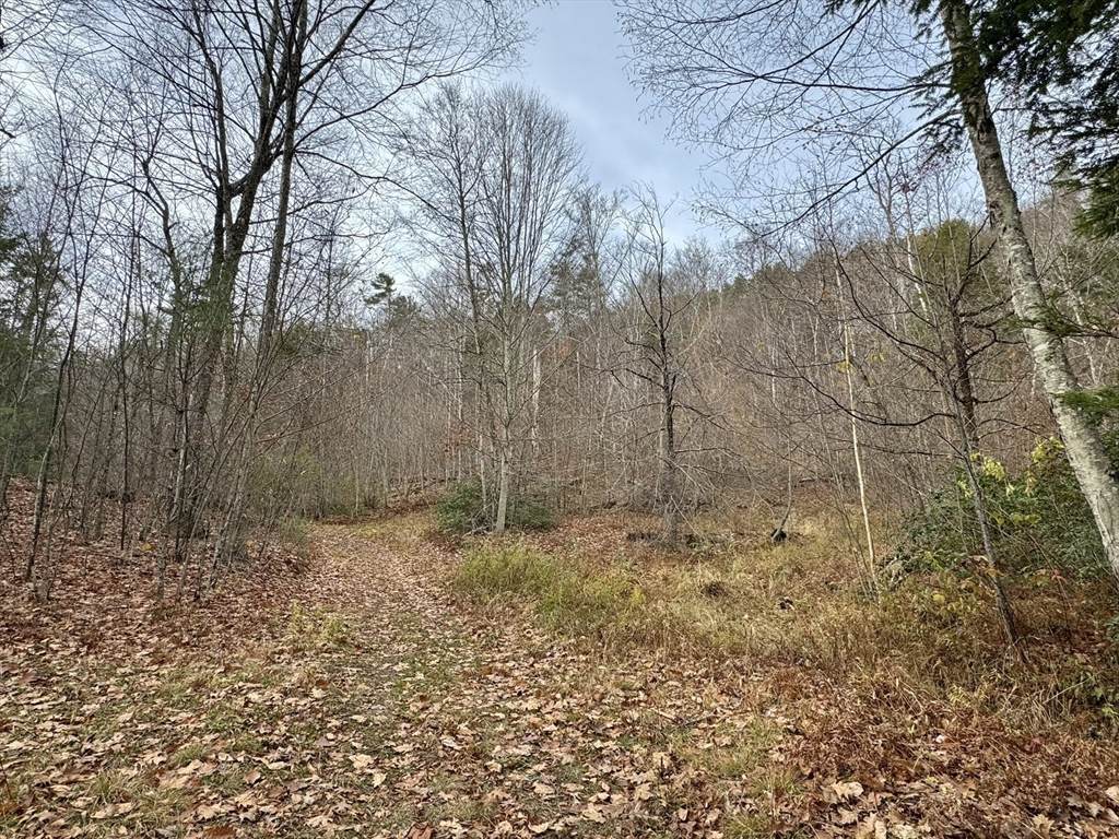 0 West Oxbow Road - Photo 1