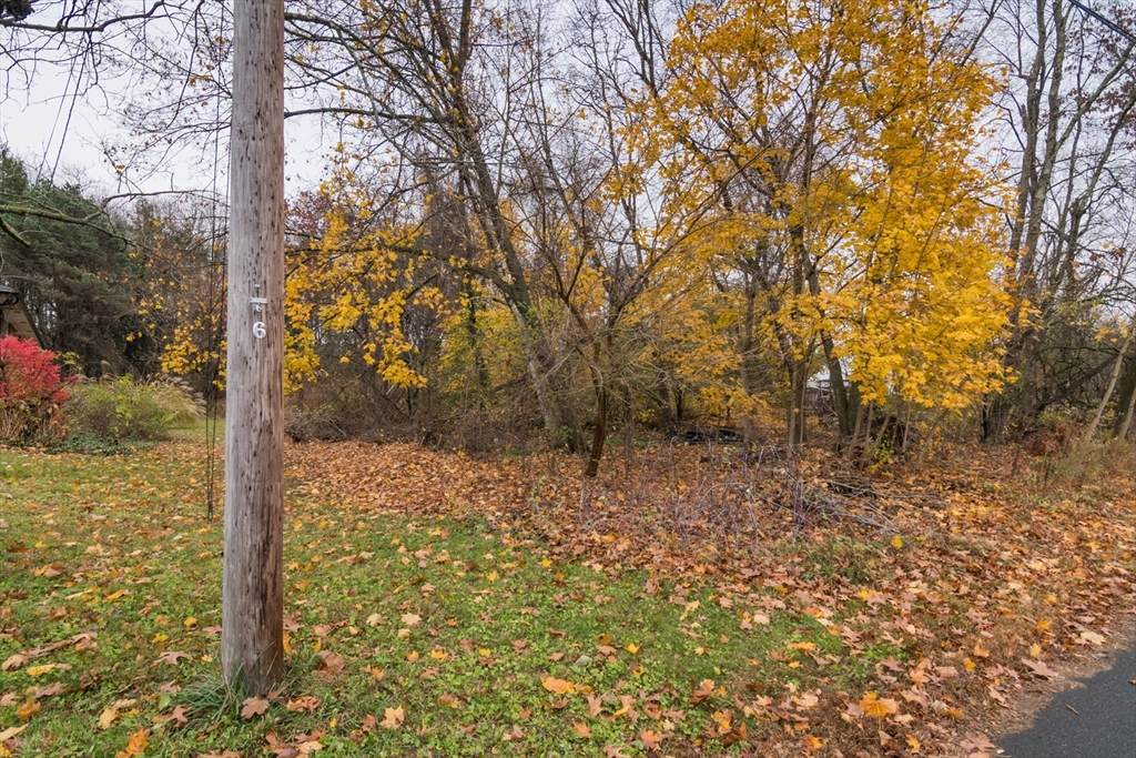 6V Melikian Dr - Photo 1