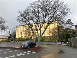 990 Paradise Rd - Photo 1