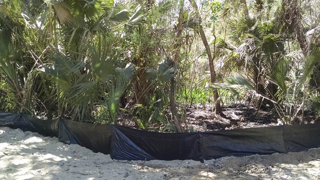 224 Mansion - Photo 1