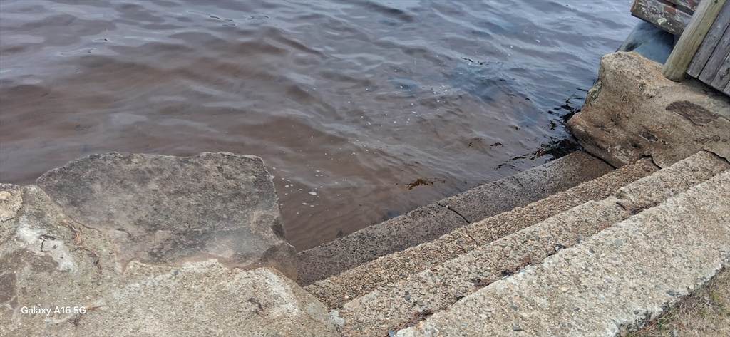 00 Island Rd - Photo 1