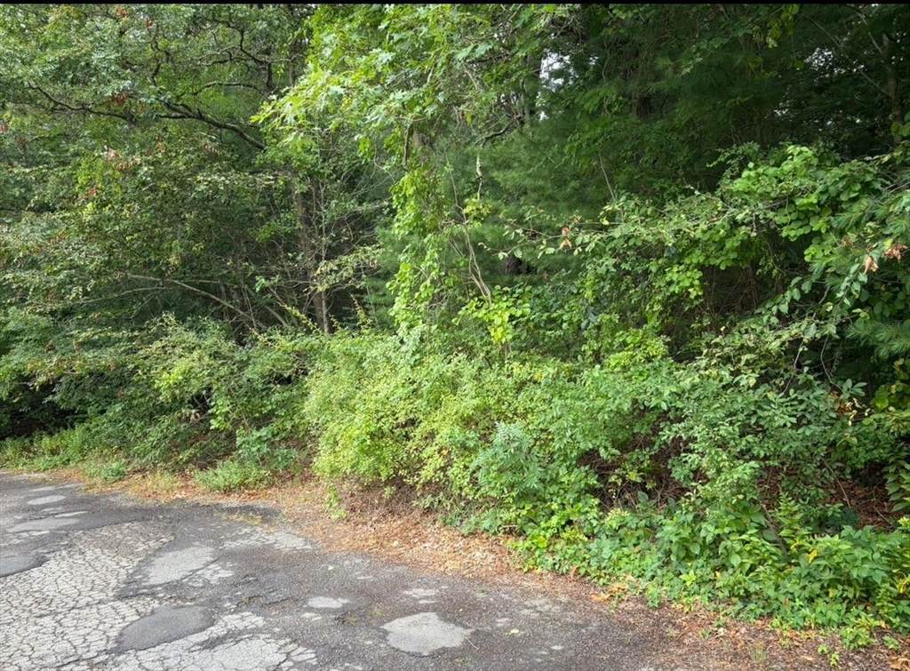 75 Bob White Run - Photo 1