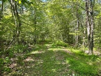 13 Perry St - Photo 1