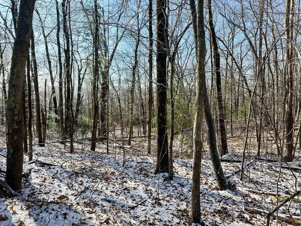 99 Burbank Road Lot 182 - Photo 1