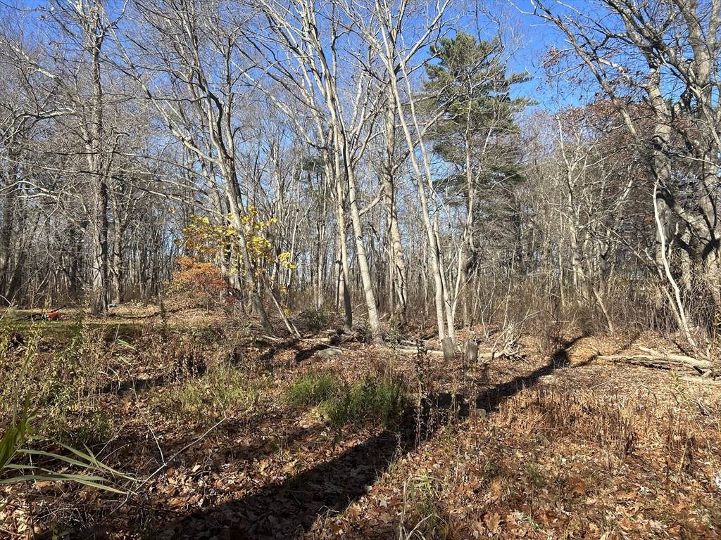 127 Beach Rd - Photo 1