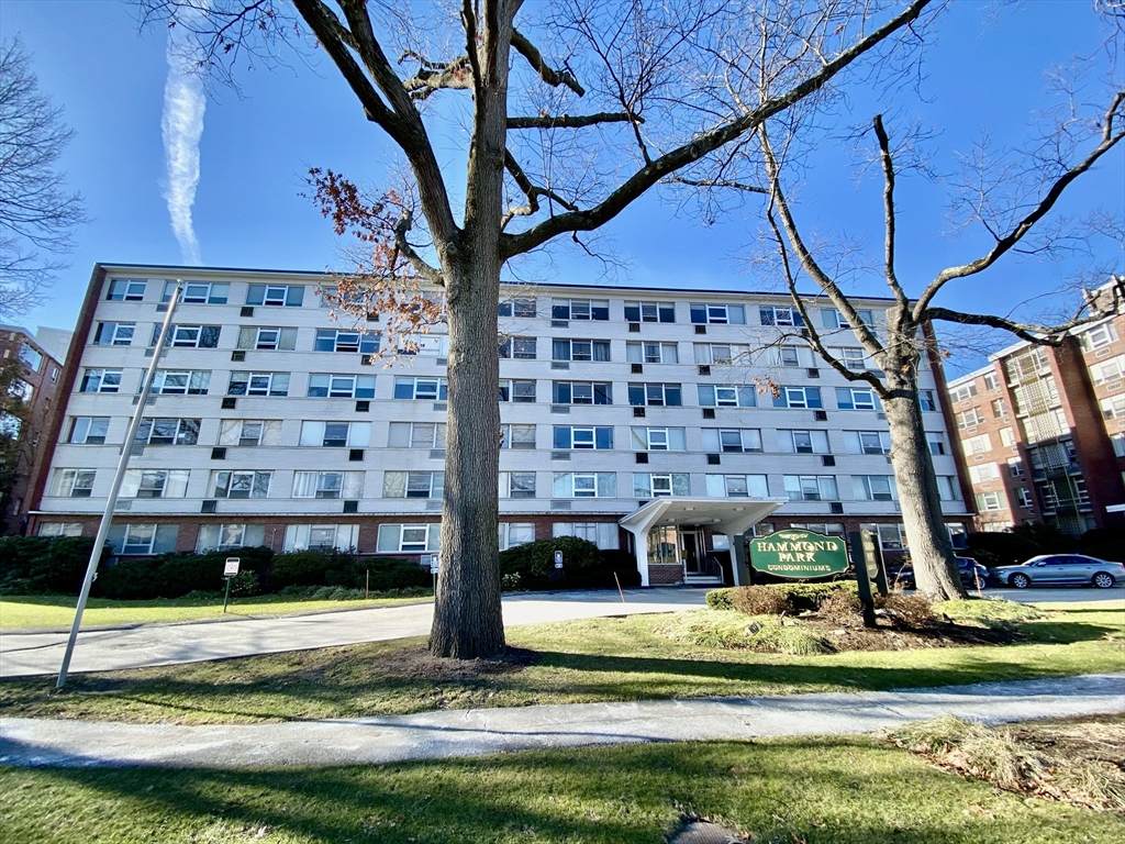 10 Hammond Pond Parkway - Photo 1