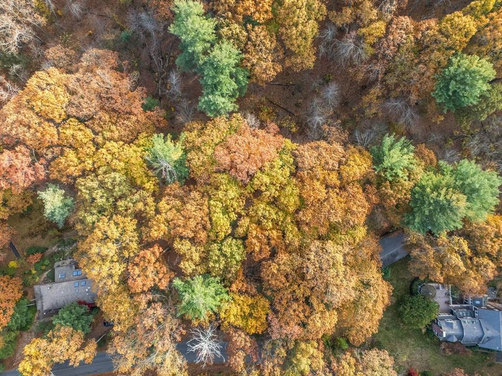 89 Lexington Road - Photo 1