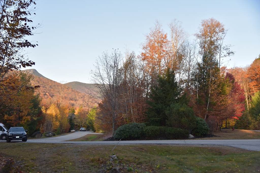 16 Yellow Birch Cir - Photo 1