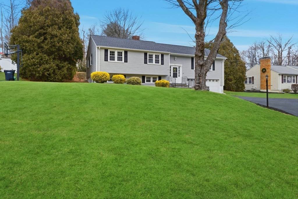 38 Juniper - Photo 1