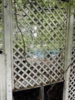 80 Bungalow Street - Photo 13