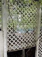 80 Bungalow Street - Photo 15