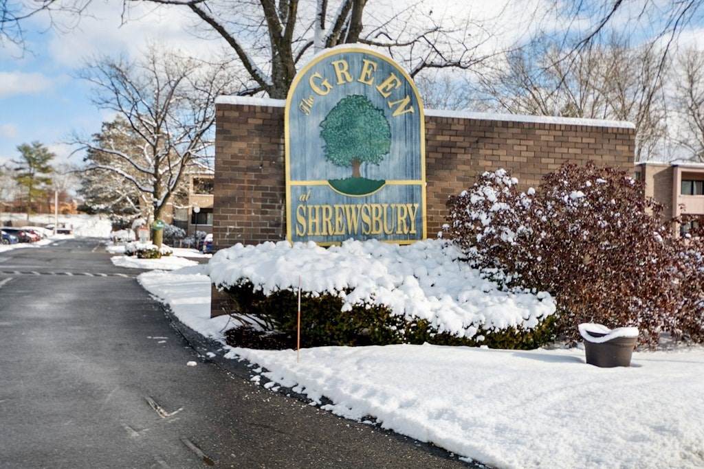 18 Shrewsbury Green Dr - Photo 1