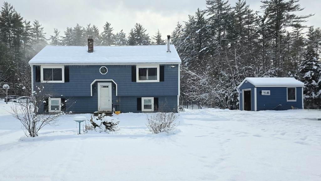 45 Phyllis Rd - Photo 1