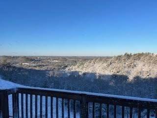 56 Tinkers Blf - Photo 1