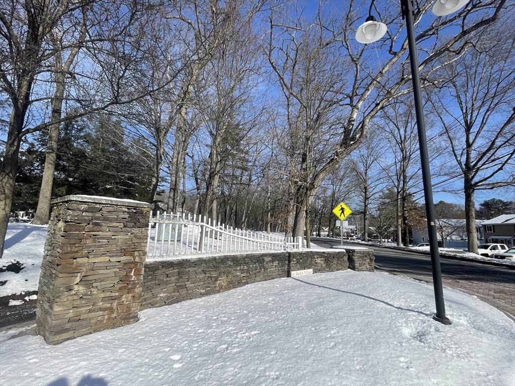 29 Village Rock Lane - Photo 1