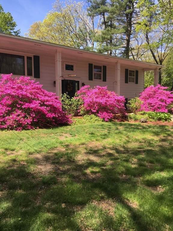 827 Pike Ave - Photo 1