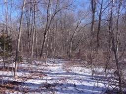 90 Chestnut Hill Road - Photo 1