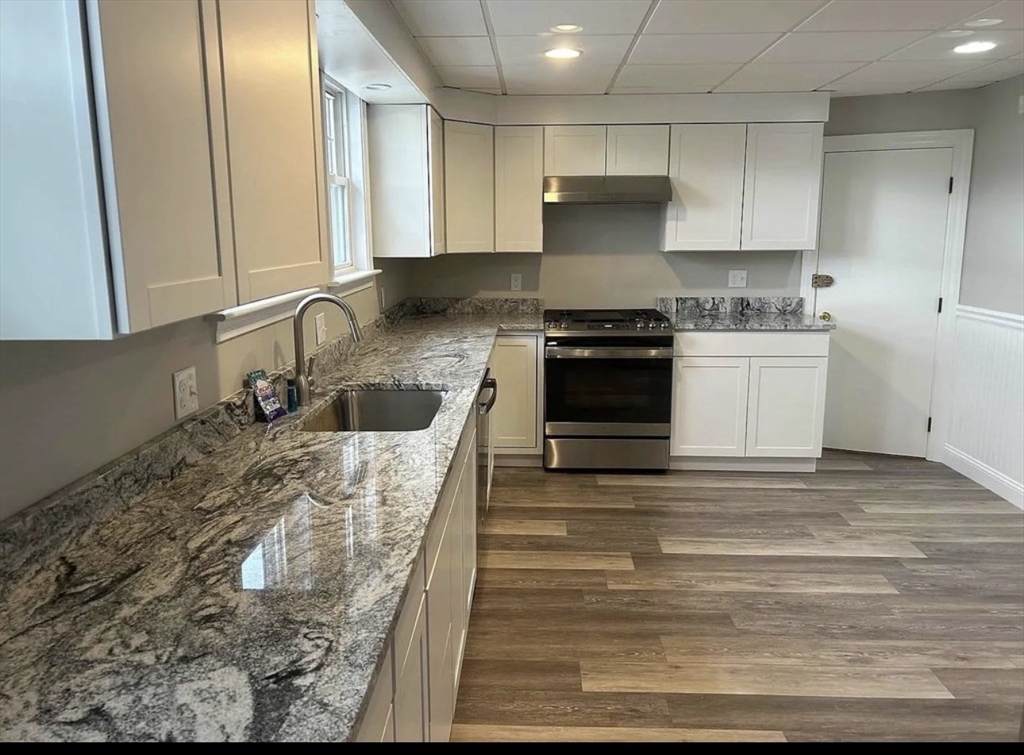 2232 Mystic Valley Parkway - Photo 1