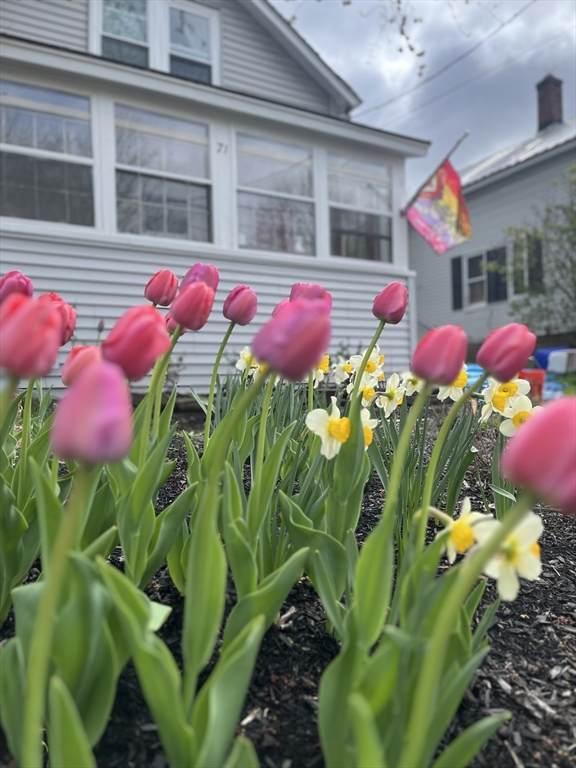 71 Washington St - Photo 1