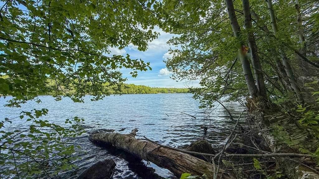 18 Osceola Rd - Photo 1