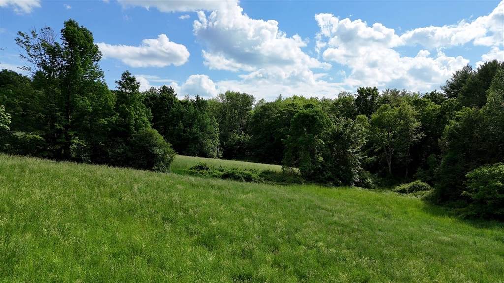0 Brooks Pond Rd (Entire Parcel) - Photo 1