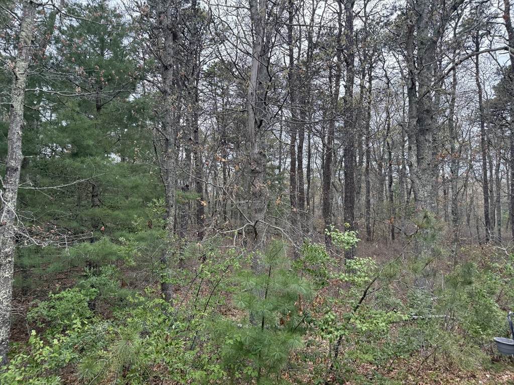 75 Newton St - Photo 1